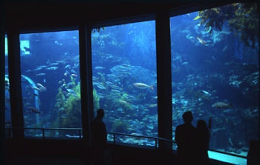 Patagonia Home Shimoda  Extérieur photo